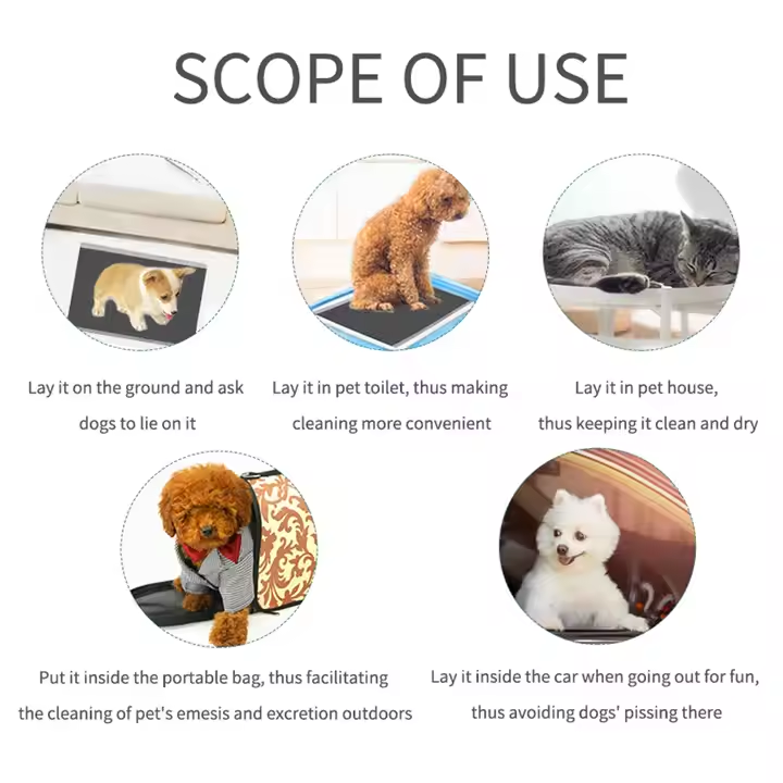 USE.png